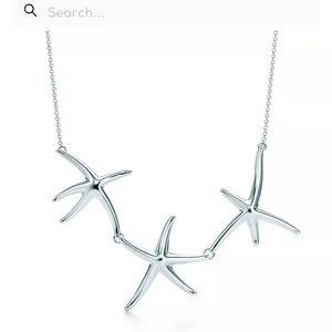CURRENT $2600 Tiffany & Co. Sterling Silver Necklace—authentic